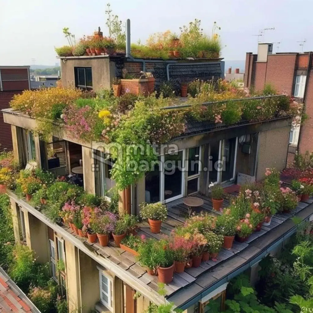 rooftop hijau di rumah
