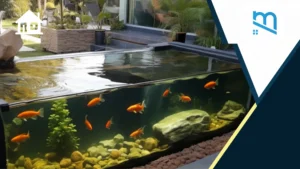 kolam ikan depan rumah