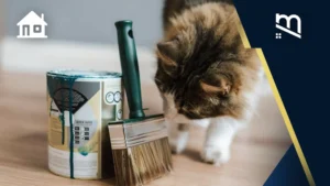 cat besi anti karat di rumah