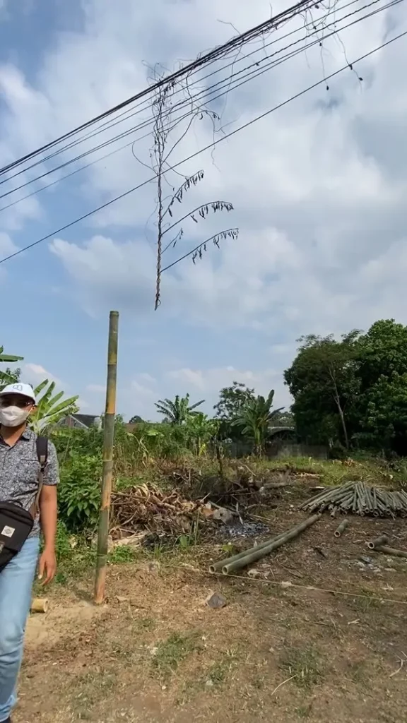 survei tanah rumah pak atet