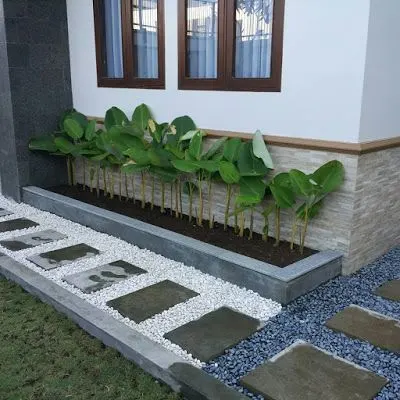 Taman depan rumah simpel dari Pinterest